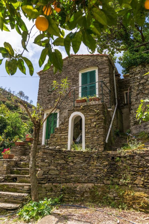 Villa Smith Vernazza Exterior foto